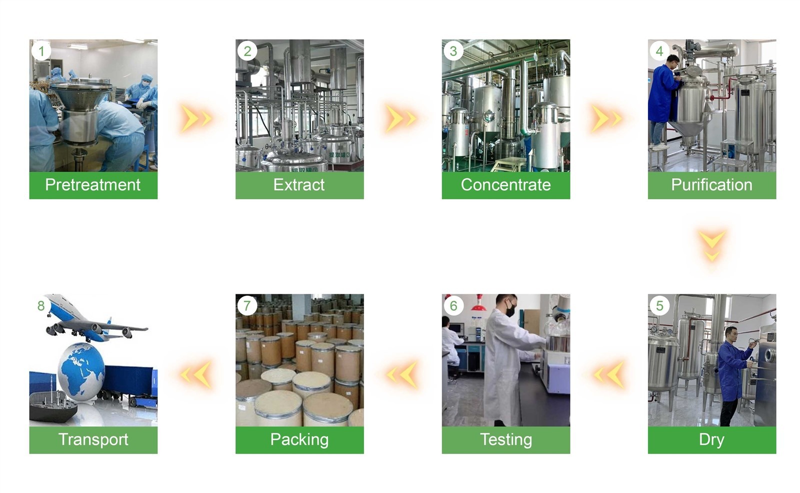production process