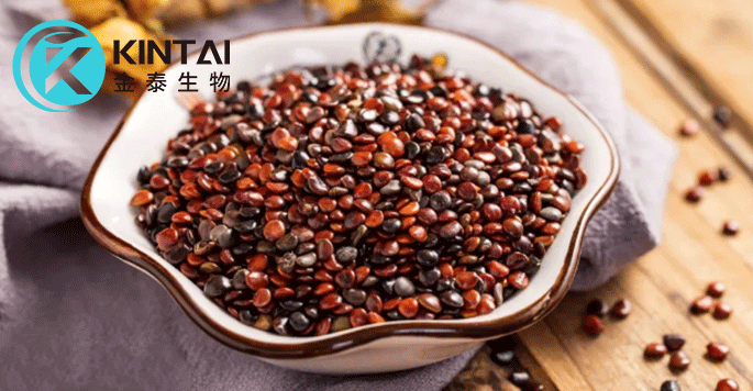 Gapanese Raisin Tree Dried Seeds Gapanese Raisin Tree Dried Seeds